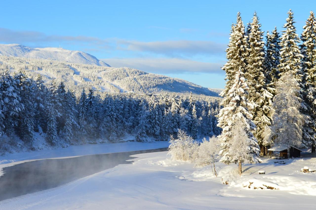 Trysil Hyttegrend Dış mekan fotoğraf