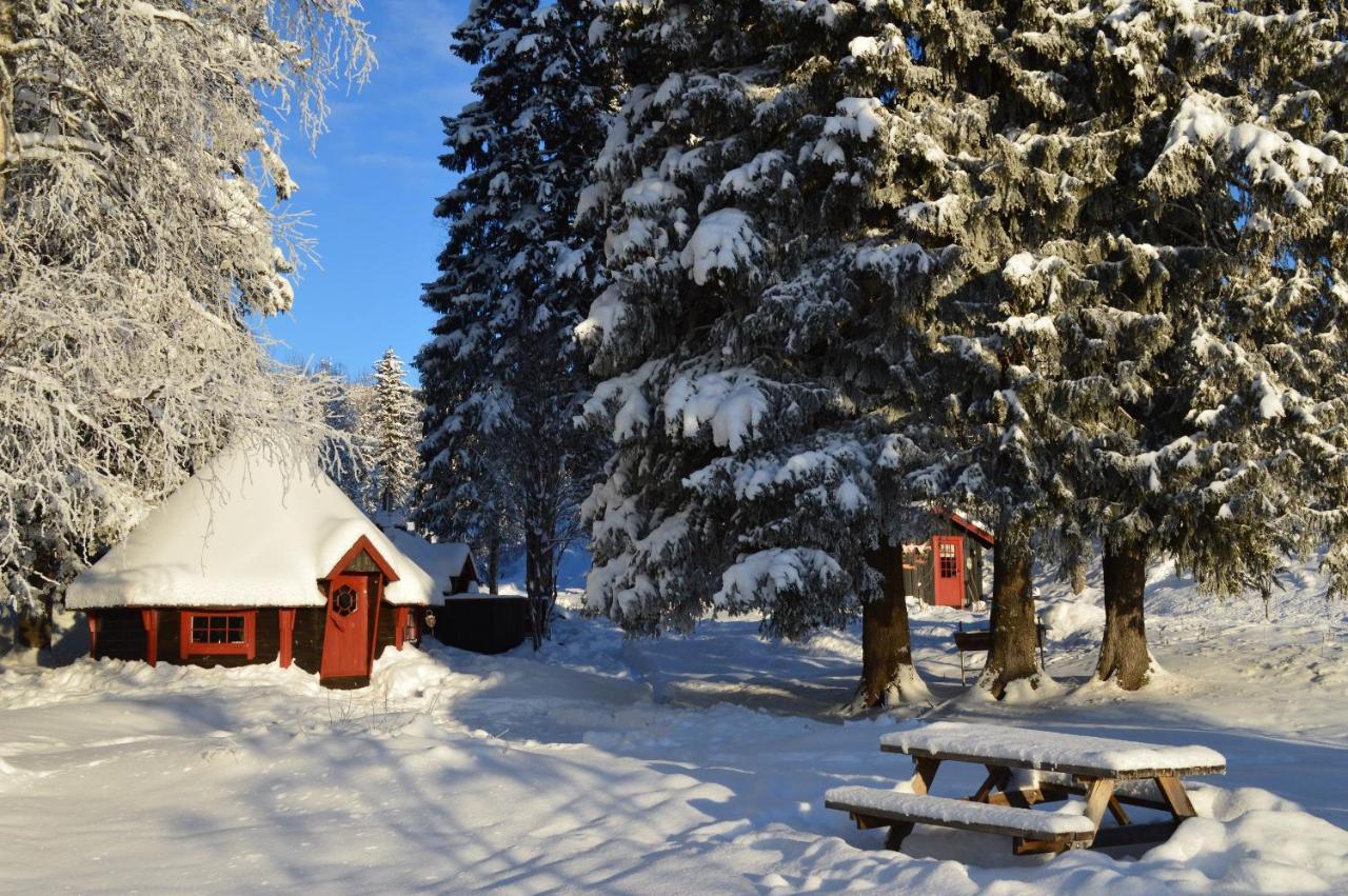 Trysil Hyttegrend Dış mekan fotoğraf