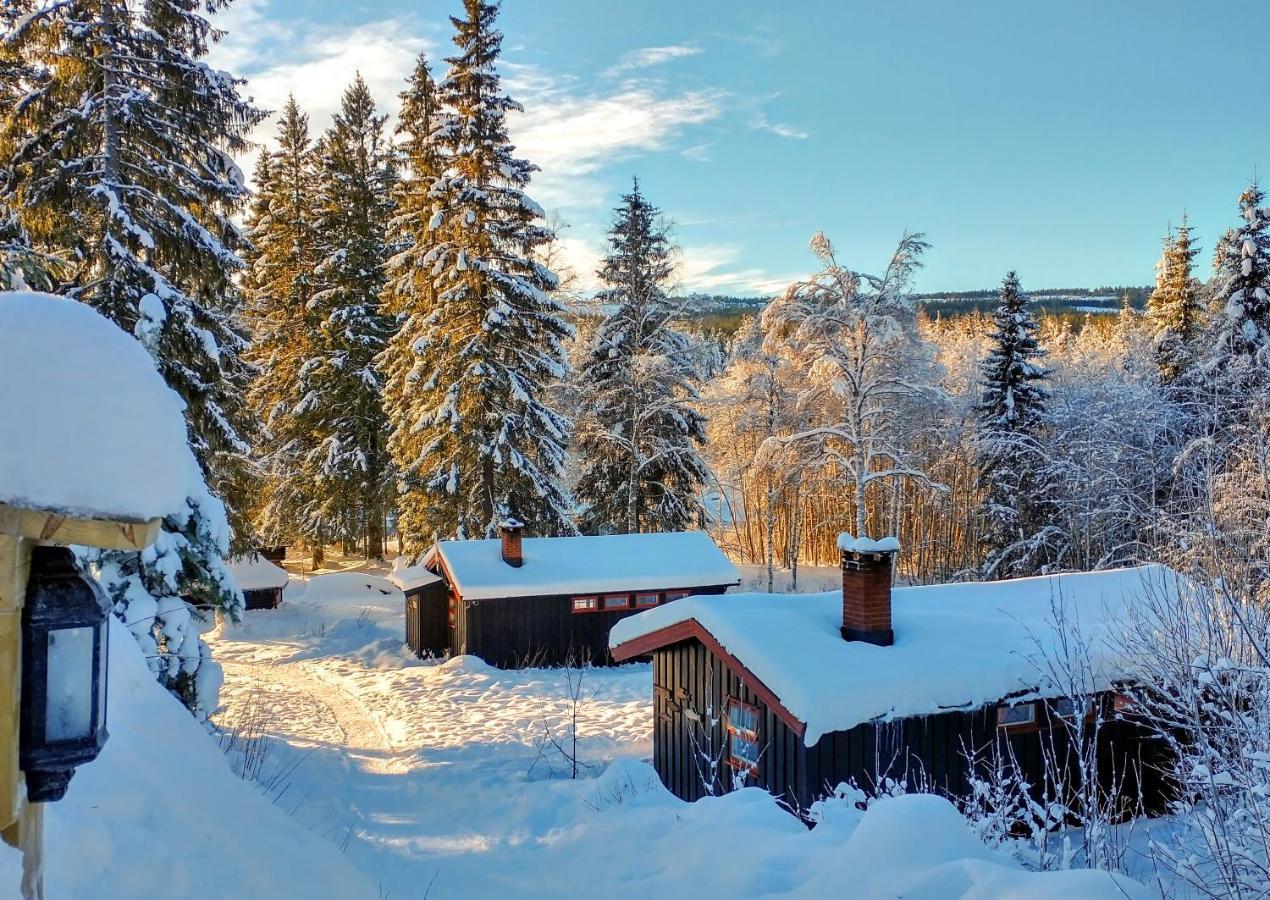 Trysil Hyttegrend Dış mekan fotoğraf