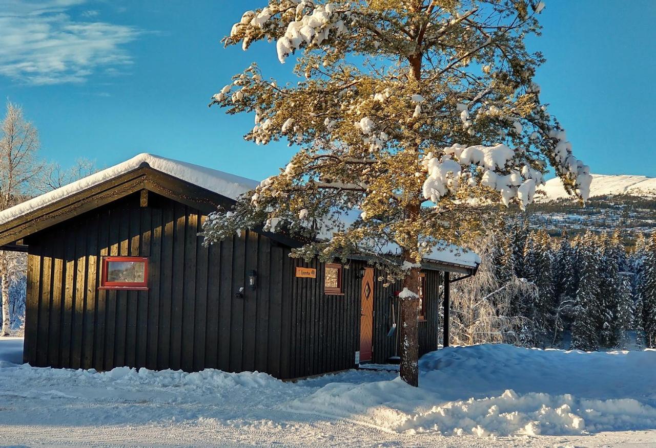 Trysil Hyttegrend Dış mekan fotoğraf