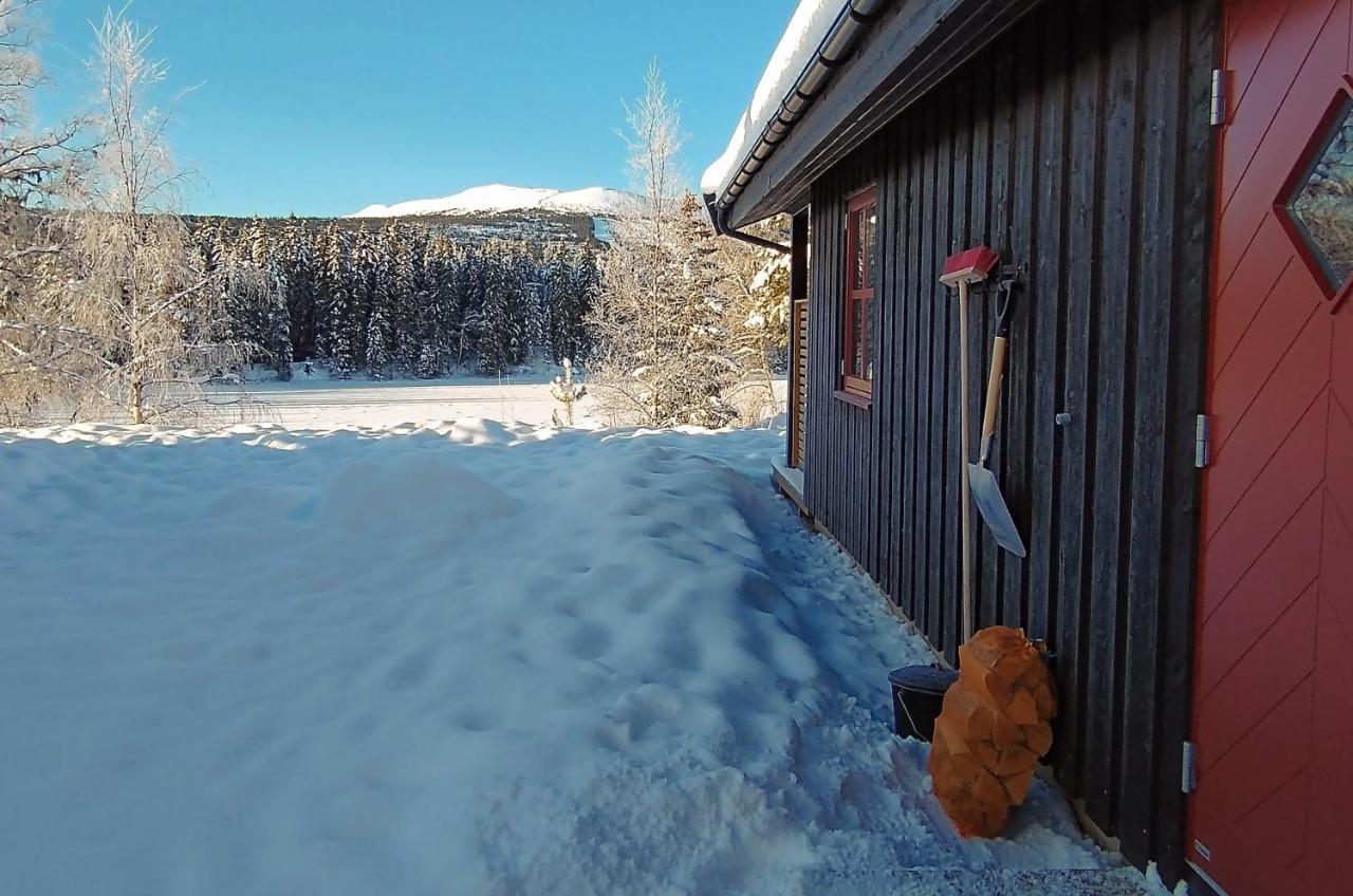 Trysil Hyttegrend Dış mekan fotoğraf