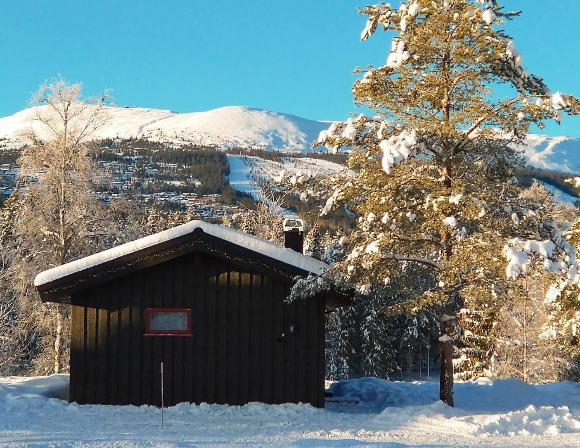 Trysil Hyttegrend Dış mekan fotoğraf