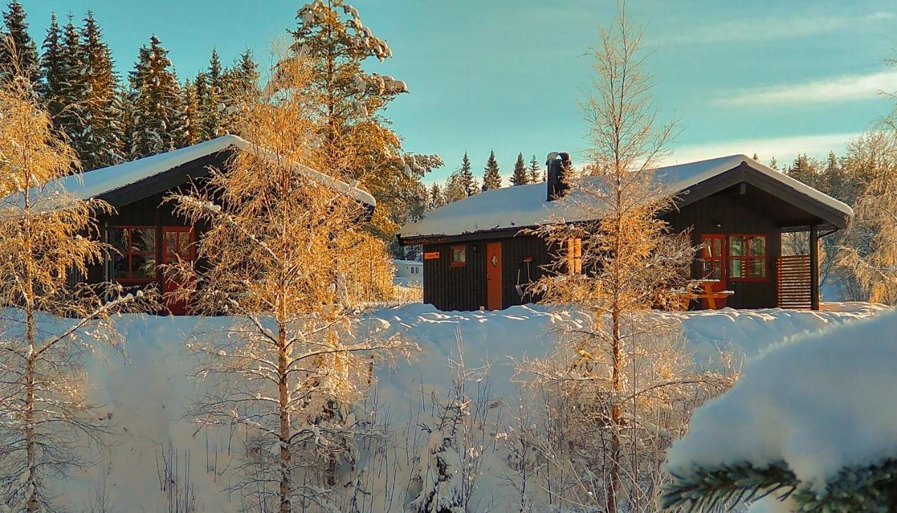 Trysil Hyttegrend Dış mekan fotoğraf