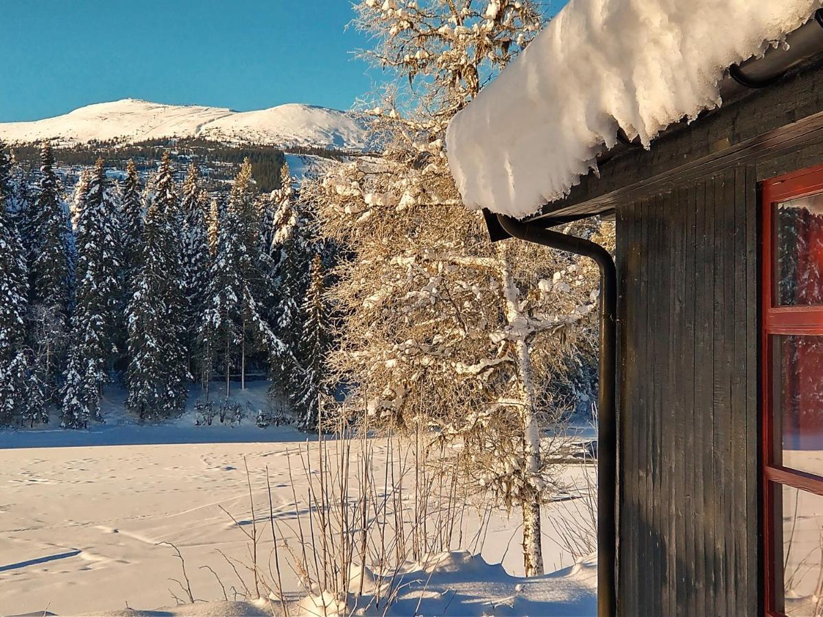 Trysil Hyttegrend Dış mekan fotoğraf