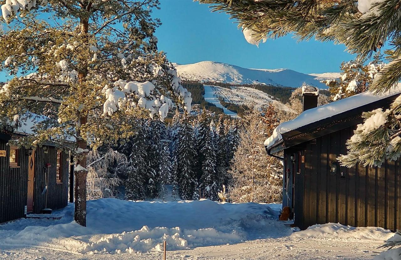 Trysil Hyttegrend Dış mekan fotoğraf