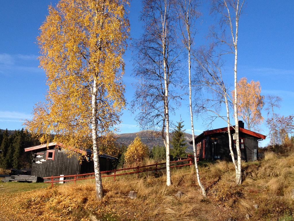 Trysil Hyttegrend Dış mekan fotoğraf