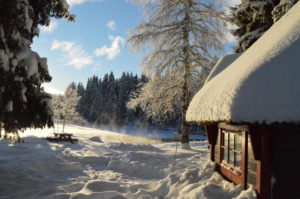 Trysil Hyttegrend Dış mekan fotoğraf