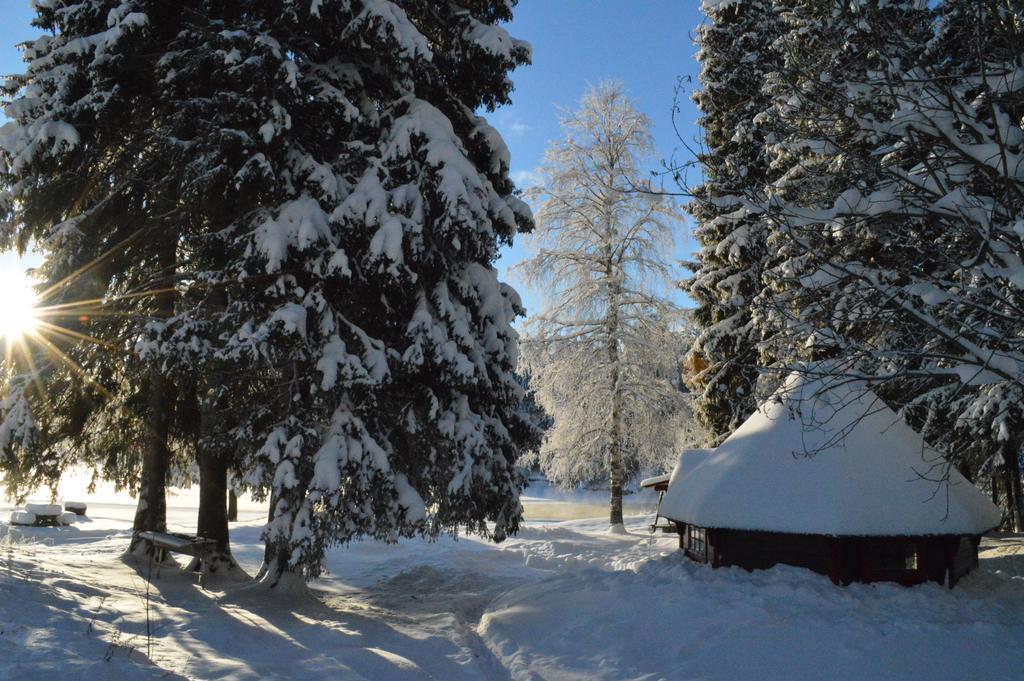 Trysil Hyttegrend Dış mekan fotoğraf